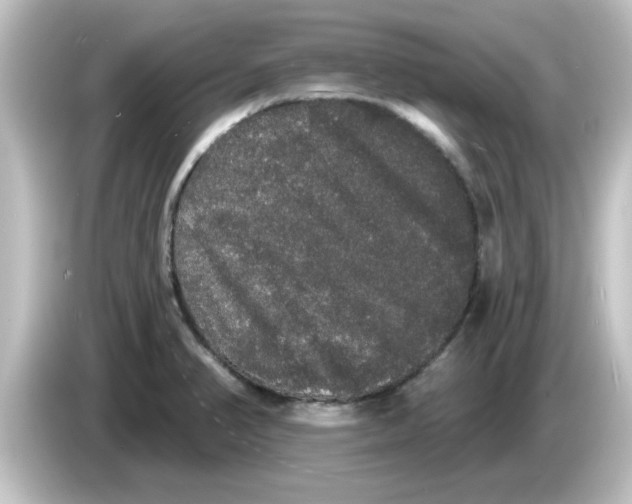 X0000084581374200703161733