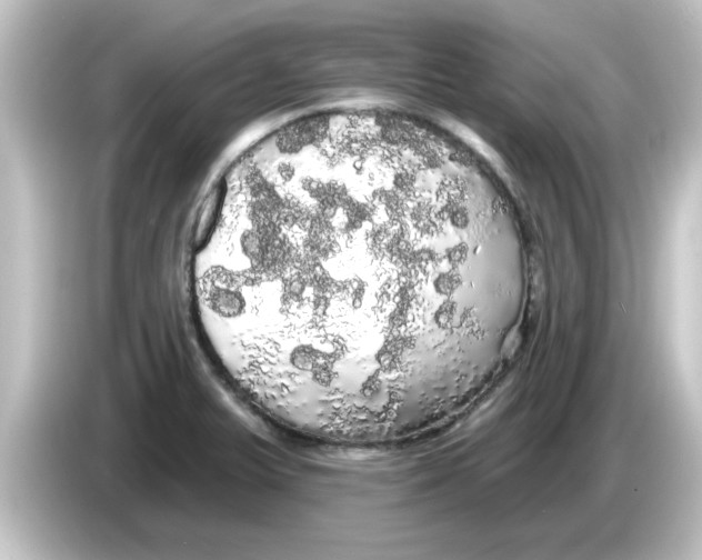 X0000084581375200703161733