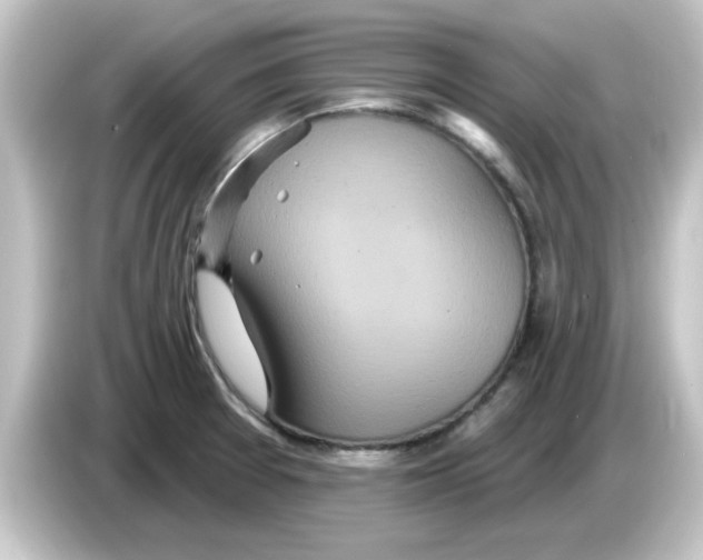 X0000084581377200703161733