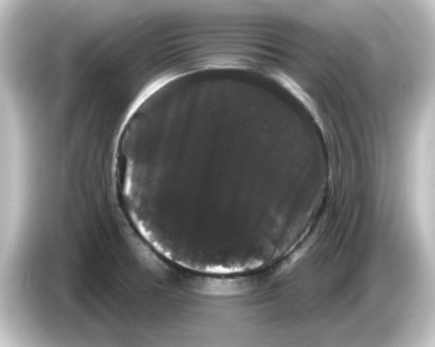 X0000084581378200703161733