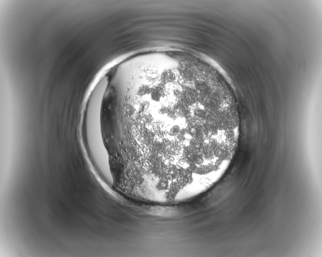 X0000084581379200703161733
