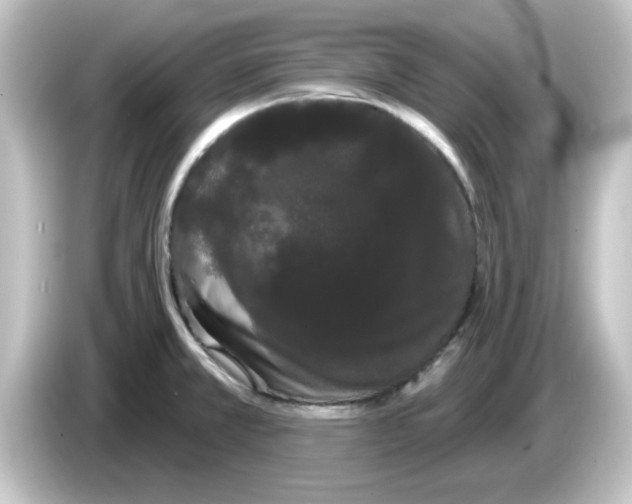 X0000084581381200703161733