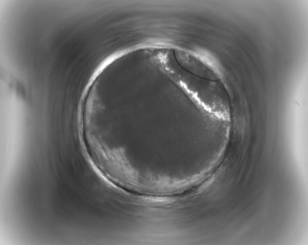 X0000084581382200703161733