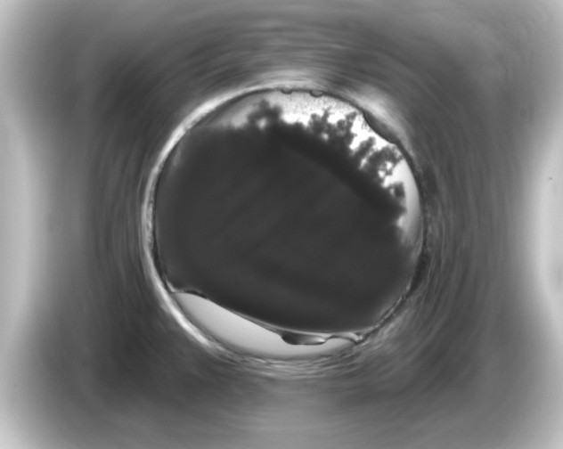 X0000084581383200703161733