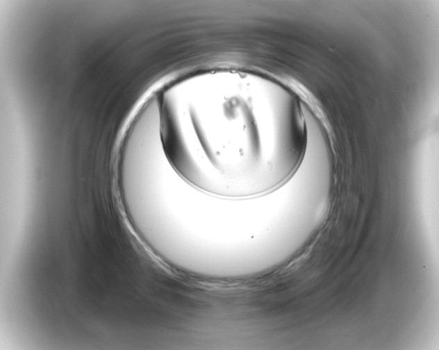 X0000084581384200703161733