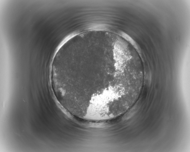 X0000084581386200703161733