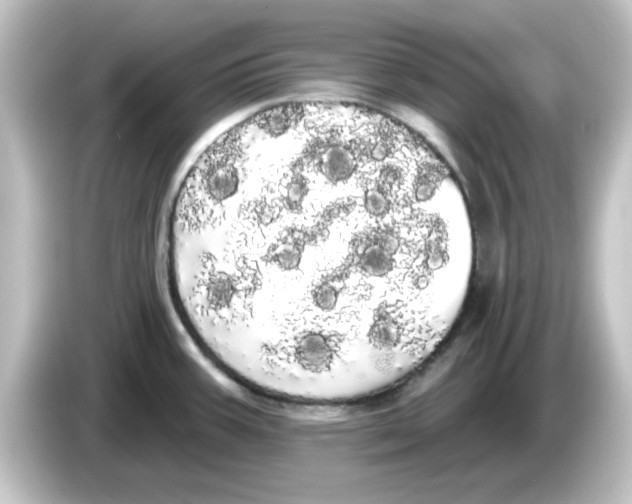 X0000084581387200703161733