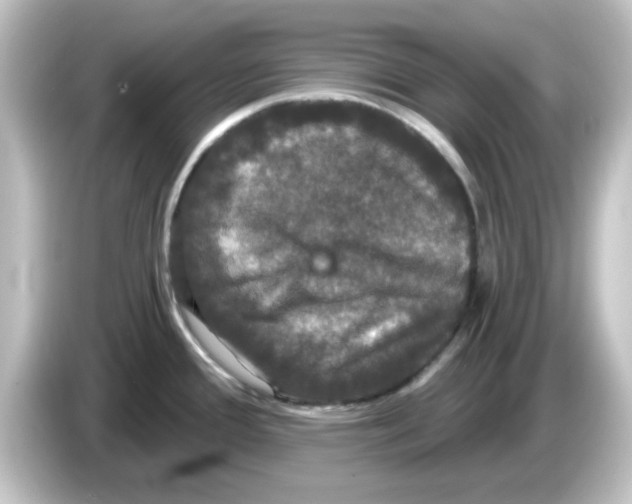 X0000084581388200703161733