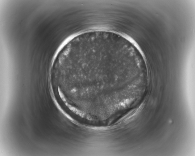 X0000084581389200703161733