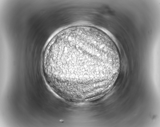 X0000084581390200703161733