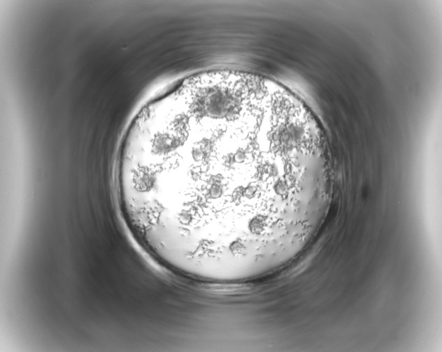 X0000084581391200703161733