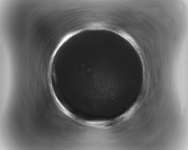 X0000084581392200703161733