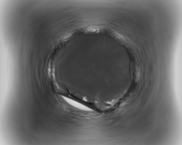 X0000084581394200703161732