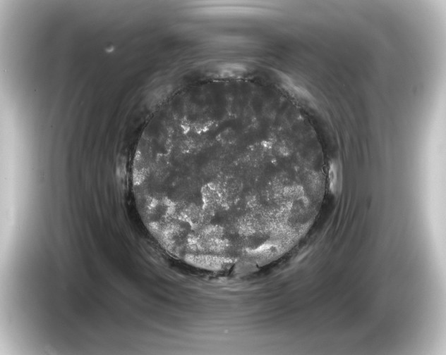 X0000084581395200703161732