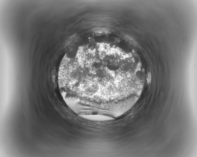 X0000084581396200703161732