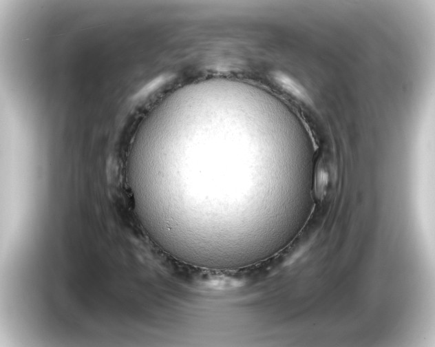 X0000084581398200703161732