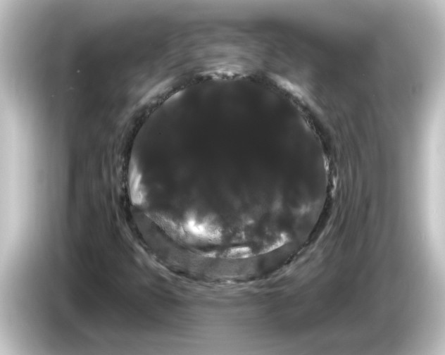 X0000084581399200703161732