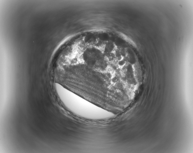 X0000084581400200703161732