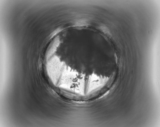 X0000084581401200703161732