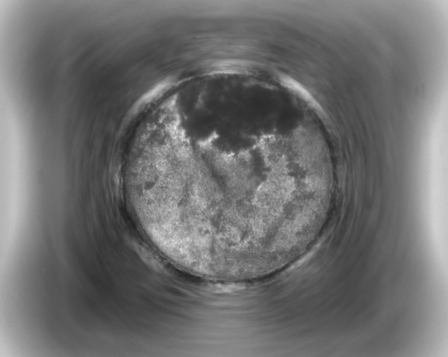 X0000084581403200703161732