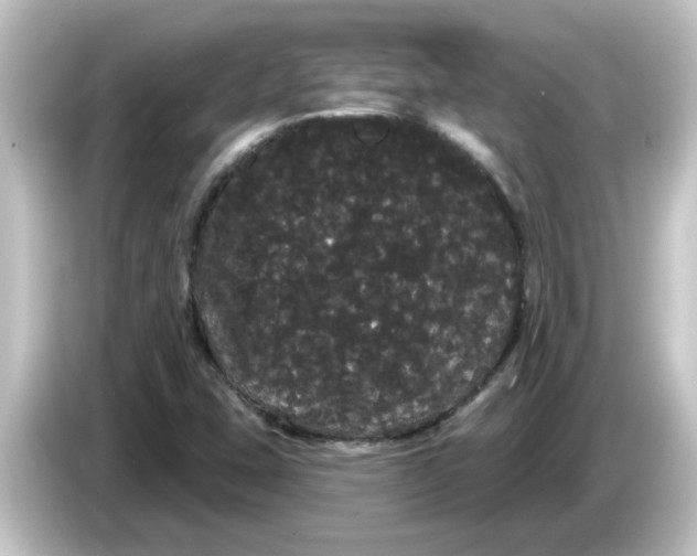 X0000084581407200703161732