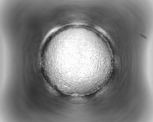 X0000084581408200703161732