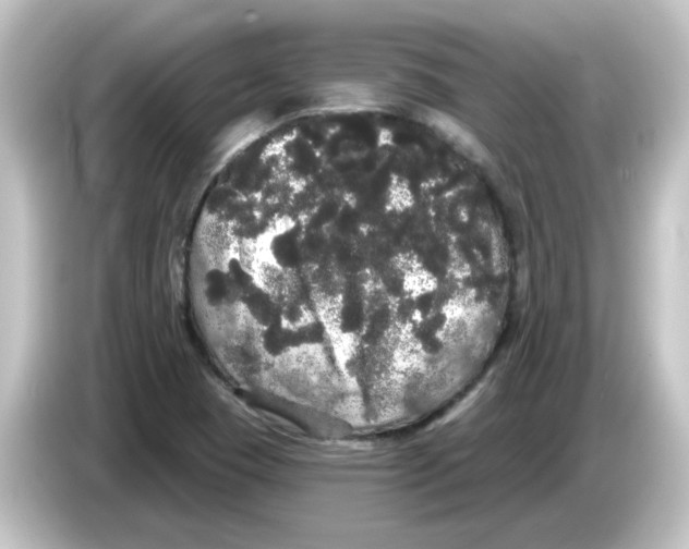 X0000084581409200703161732