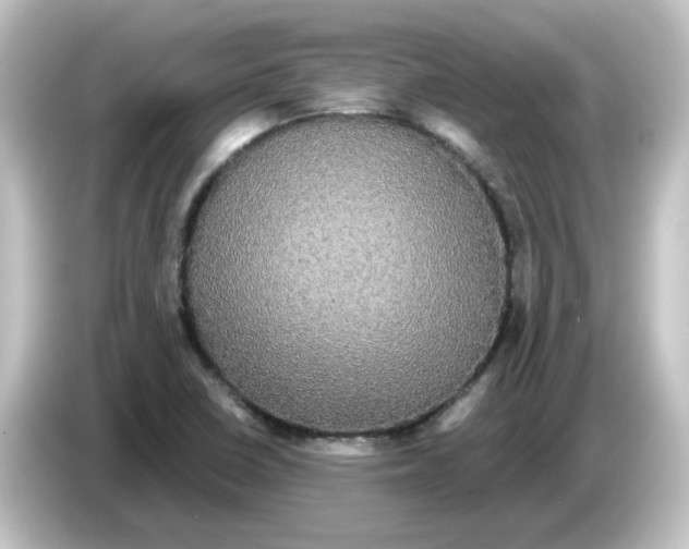 X0000084581410200703161732