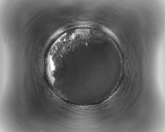 X0000084581411200703161732