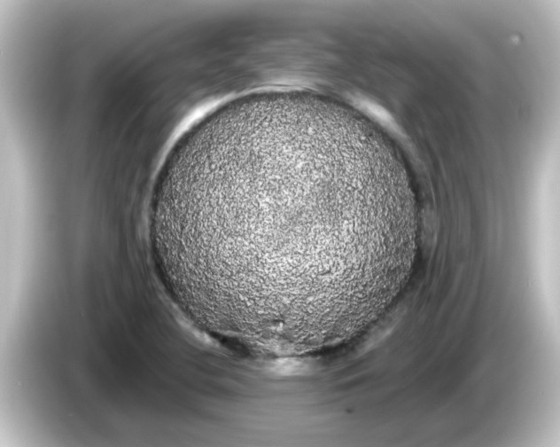 X0000084581412200703161732