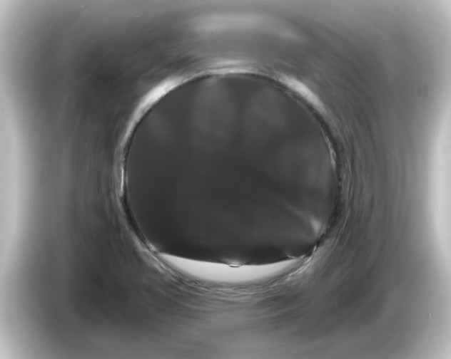 X0000084581413200703161732
