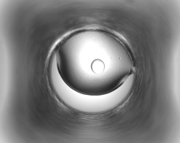 X0000084581414200703161732