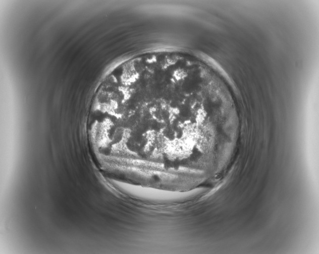 X0000084581417200703161732