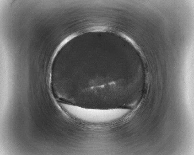 X0000084581418200703161732