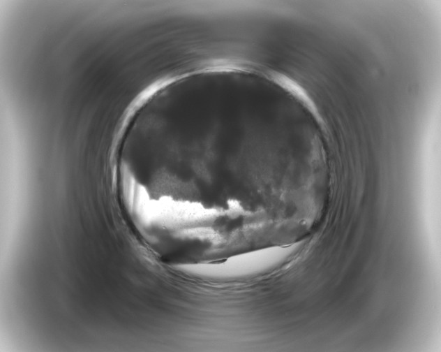X0000084581419200703161732