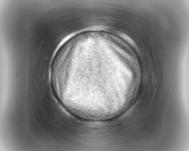 X0000084581420200703161732