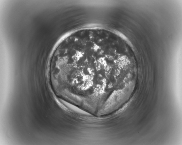 X0000084581421200703161732
