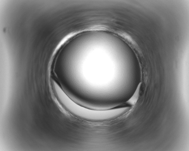 X0000084581422200703161732