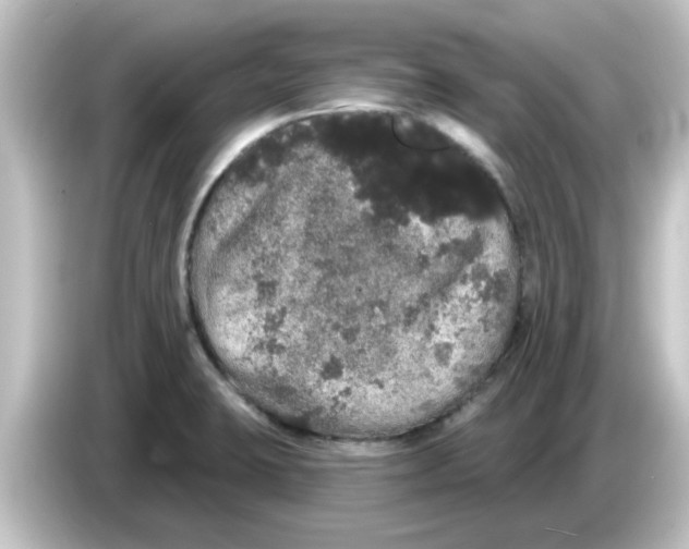 X0000084581423200703161732
