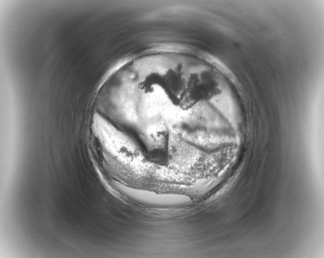 X0000084581425200703161732