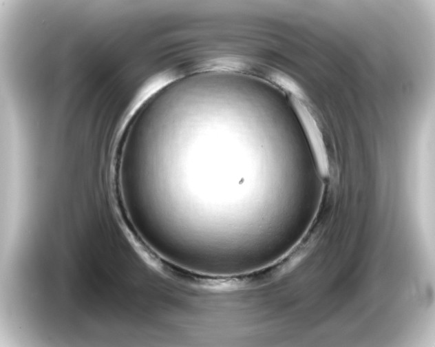 X0000084581426200703161732