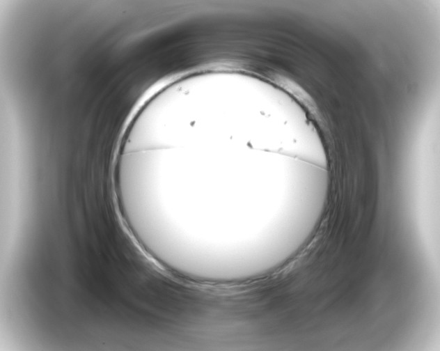 X0000084581428200703161732
