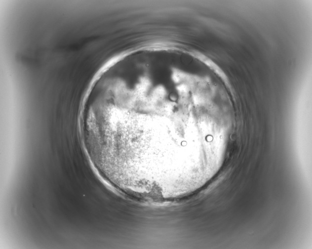 X0000084581429200703161732