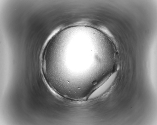 X0000084581430200703161732