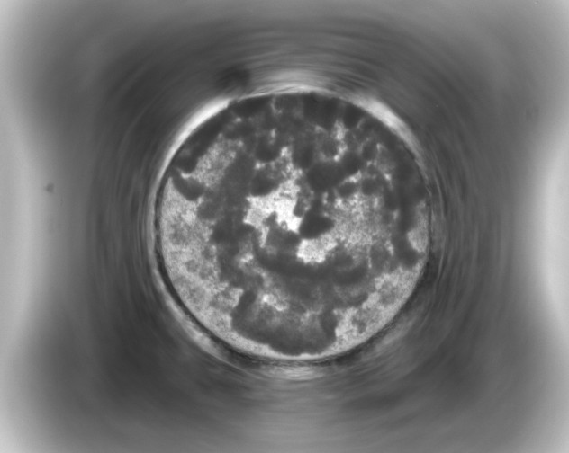X0000084581431200703161732