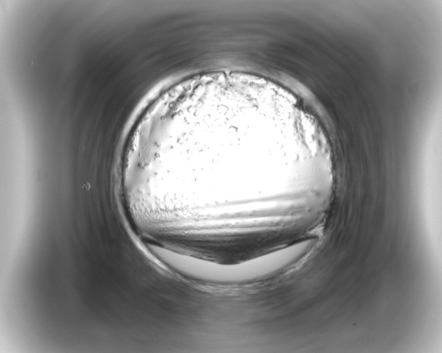 X0000084581432200703161732
