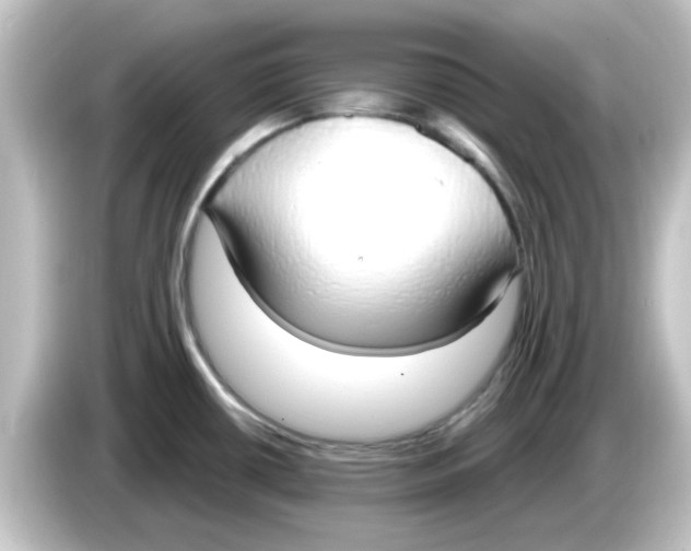 X0000084581434200703161733