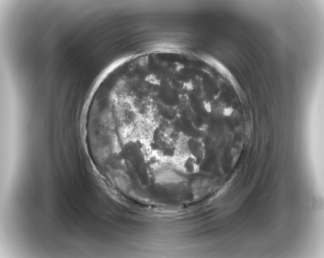 X0000084581435200703161733