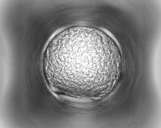 X0000084581437200703161733
