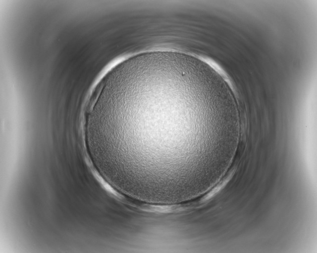 X0000084581438200703161733